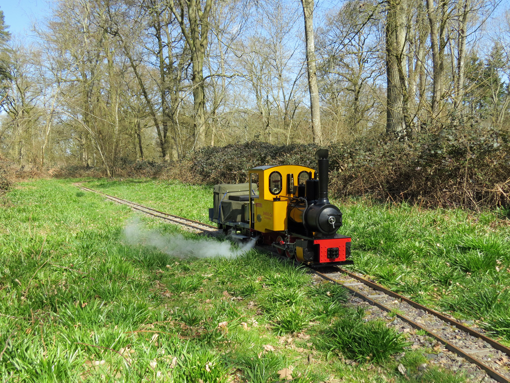 Feldbahn 0-6-0 'Gentoo 2'