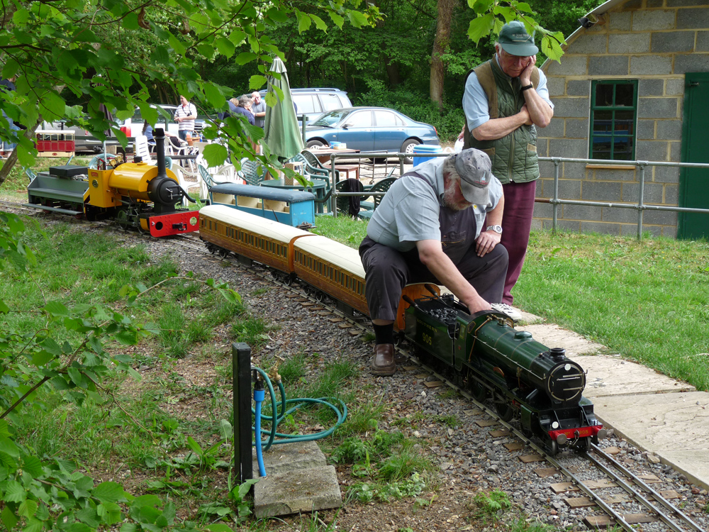 Stafford Steam Locomotive Gentoo