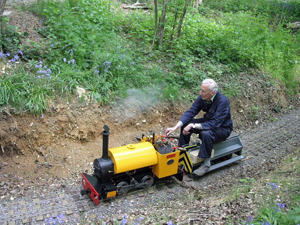 Stafford Steam Locomotive Gentoo