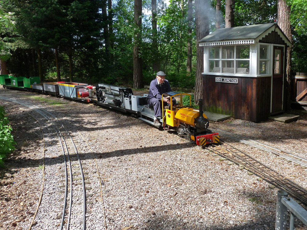 Gentoo and owner with the freight train at Dove Junction