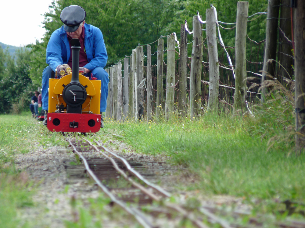 Stafford Steam Locomotive Gentoo
