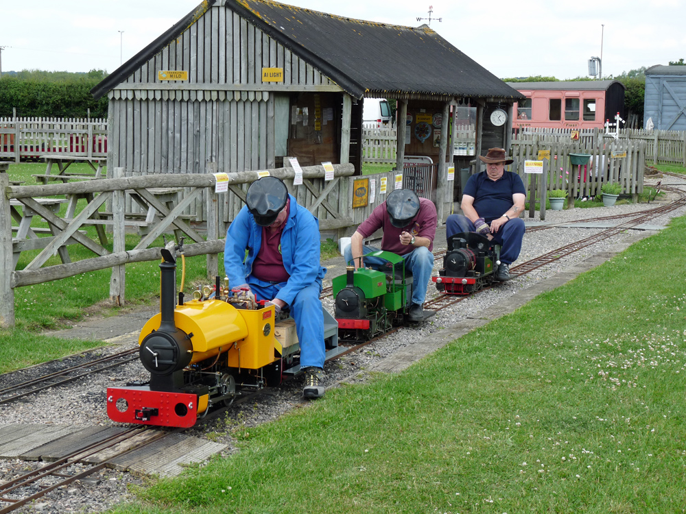 Stafford Steam Locomotive Gentoo