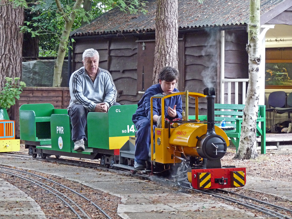 Stafford Steam Locomotive Gentoo