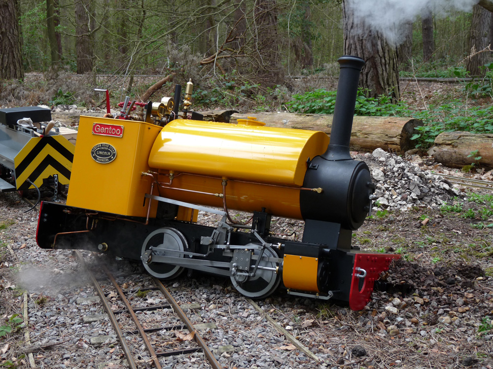 Stafford Steam Locomotive Gentoo