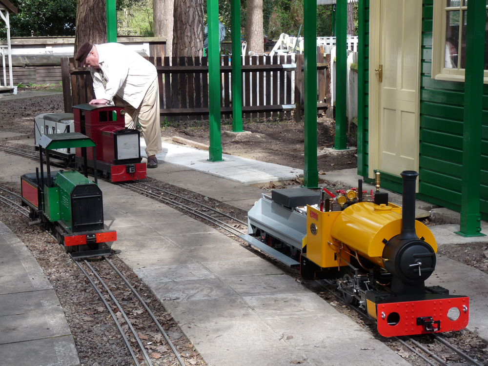 Stafford Steam Locomotive Gentoo