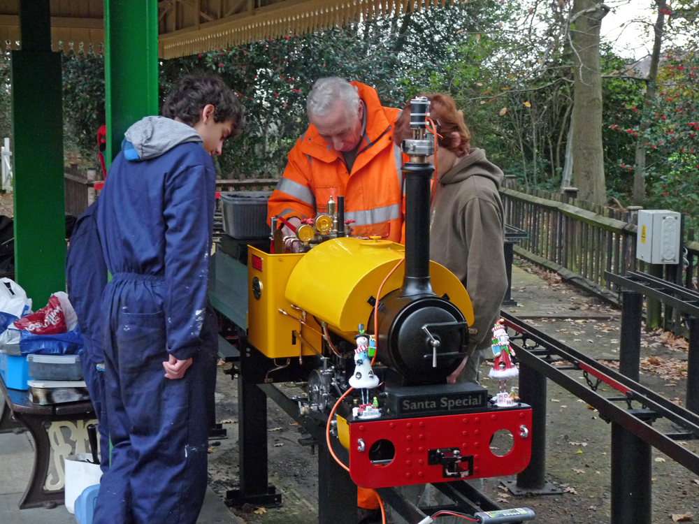 Stafford Steam Locomotive Gentoo