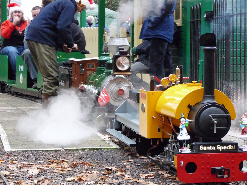 Stafford Steam Locomotive Gentoo