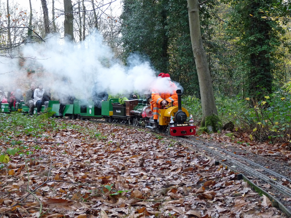 Stafford Steam Locomotive Gentoo