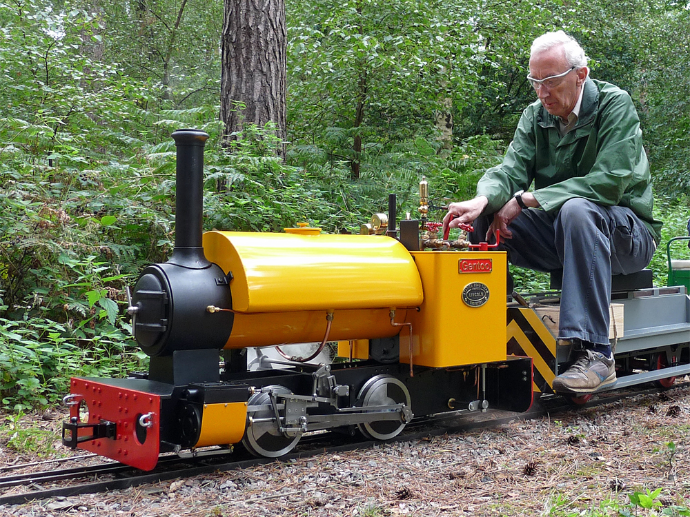 Stafford Steam Locomotive Gentoo