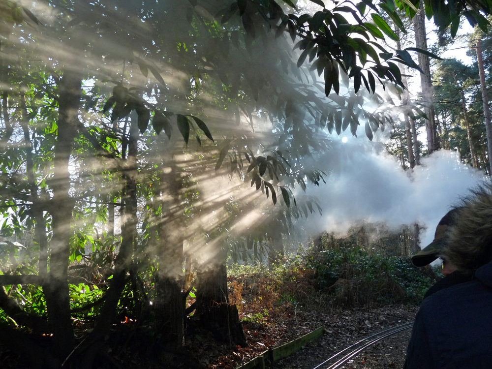 Steam in the Winter sun