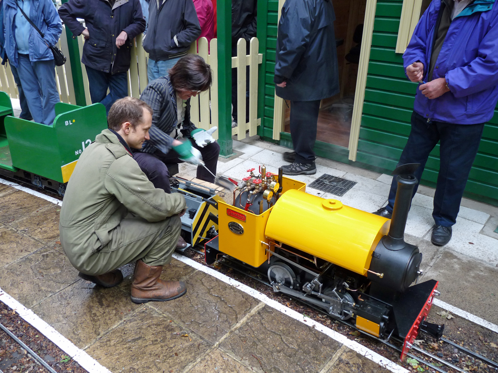 Stafford Steam Locomotive Gentoo