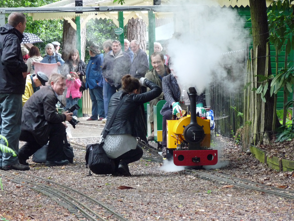 Stafford Steam Locomotive Gentoo