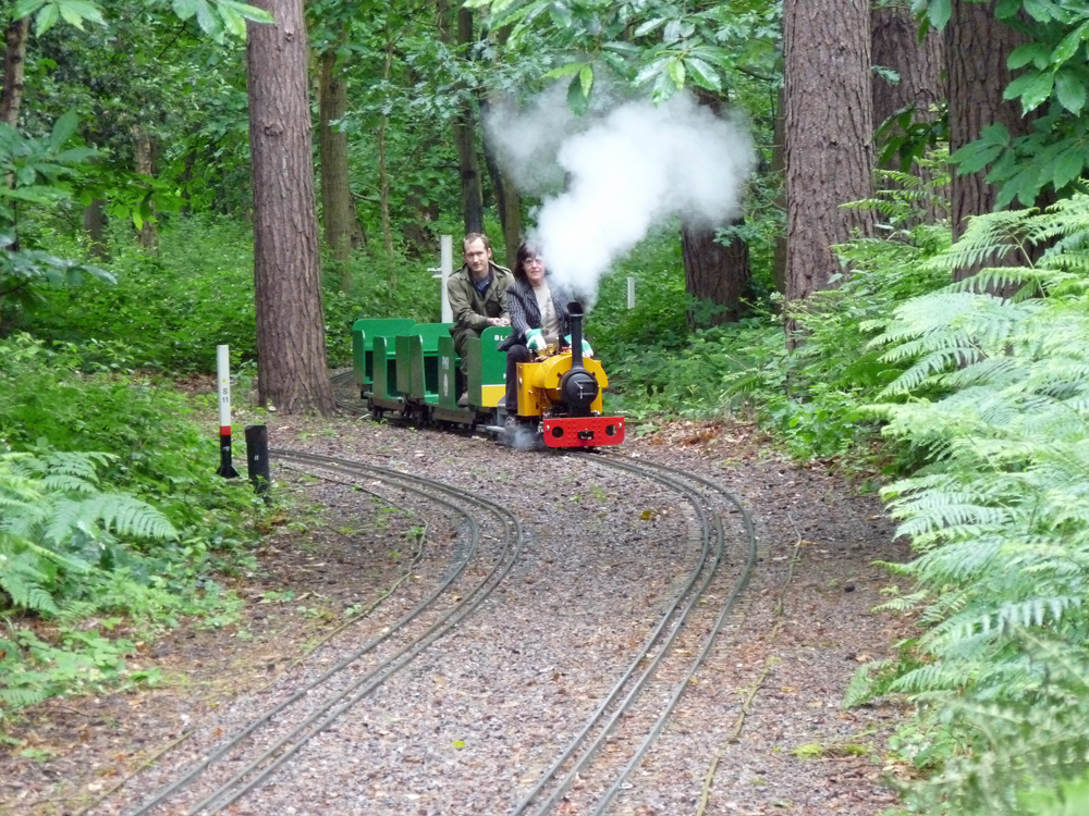 Stafford Steam Locomotive Gentoo