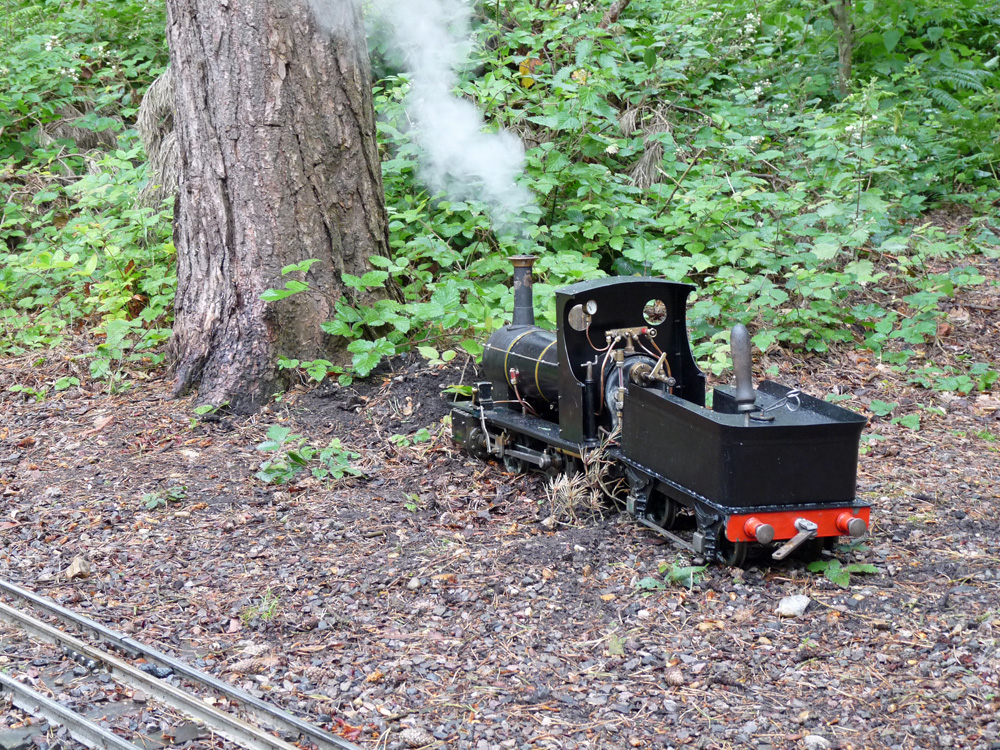 Stafford Steam Locomotive Gentoo