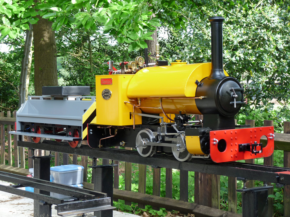 Stafford Steam Locomotive Gentoo
