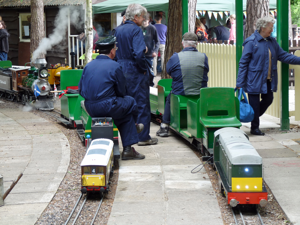 Stafford Steam Locomotive Gentoo