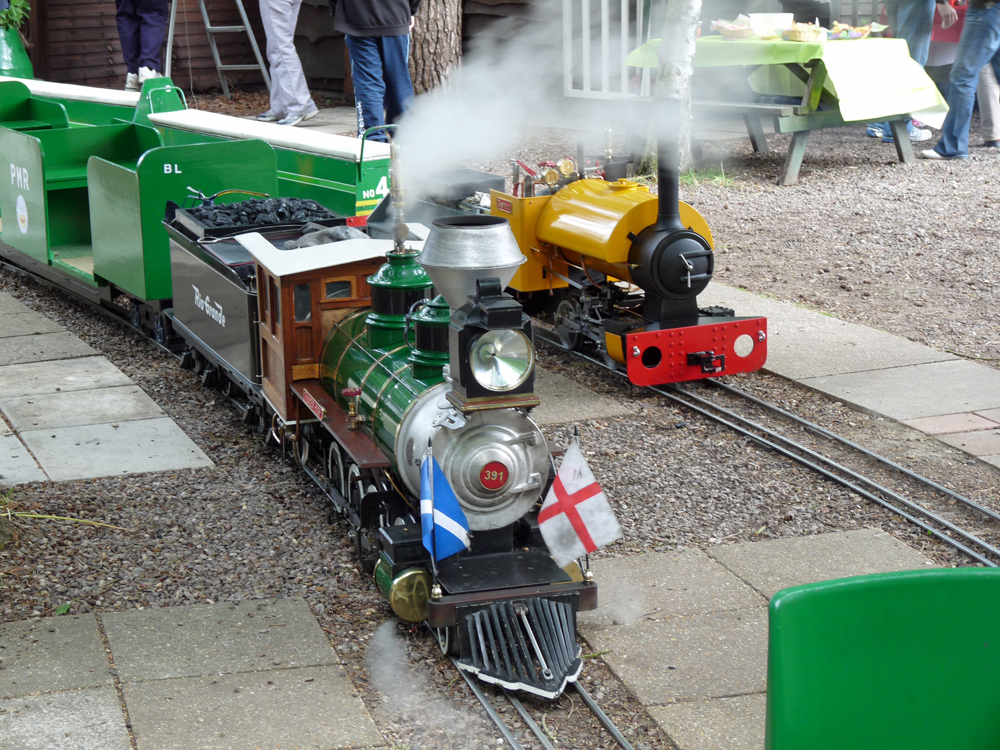 Stafford Steam Locomotive Gentoo