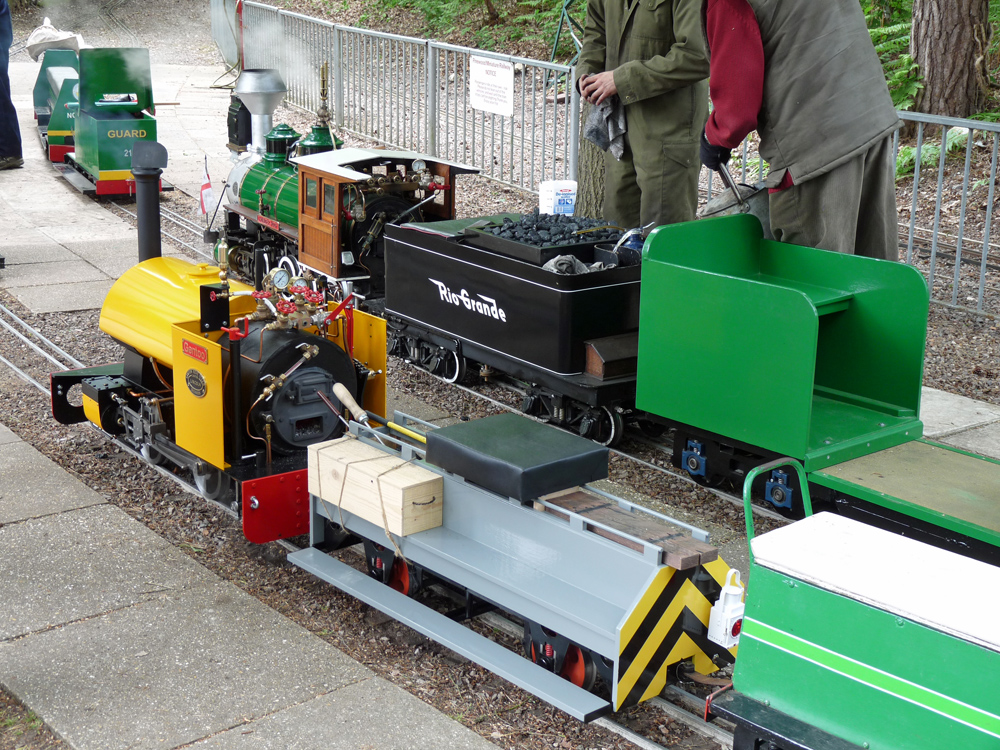 Stafford Steam Locomotive Gentoo