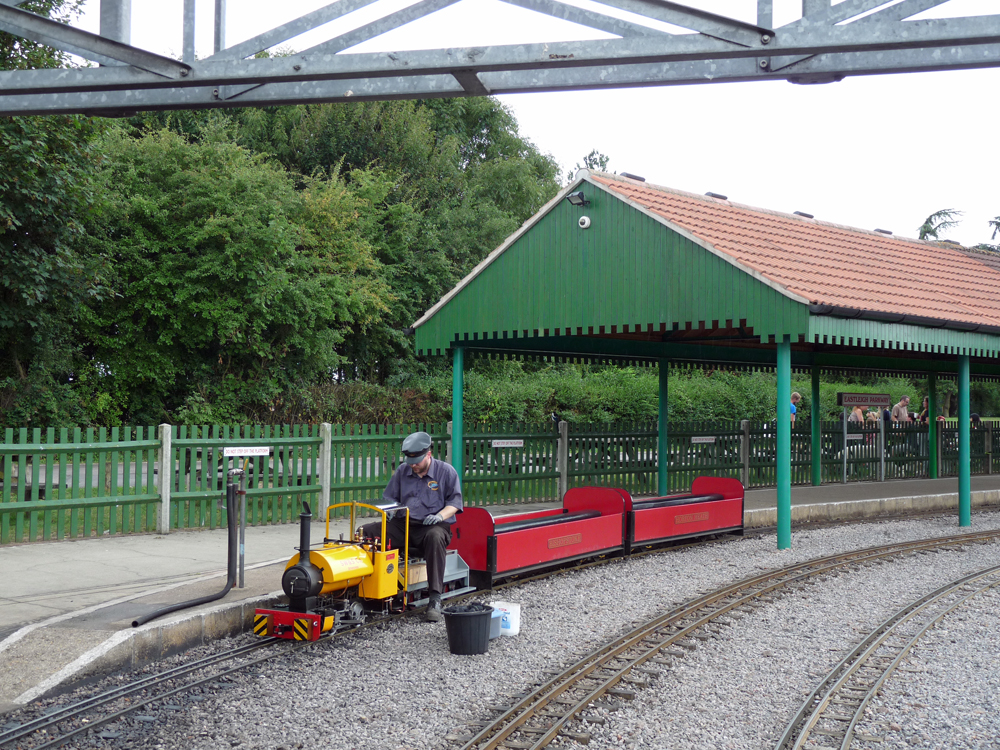 Gentoo waiting at the end of Platform 2.