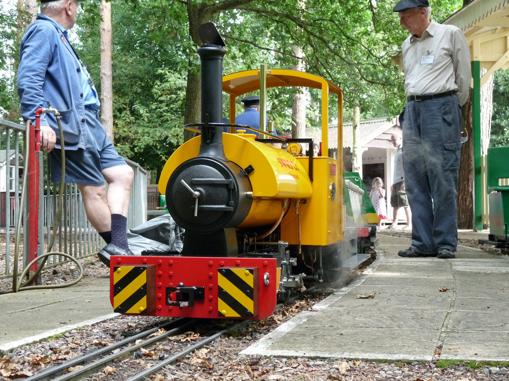 Stafford Steam Locomotive Gentoo in the Pinewood Station