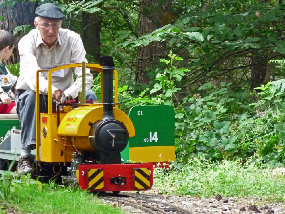 Stafford Steam Locomotive Gentoo pulling a passenger train