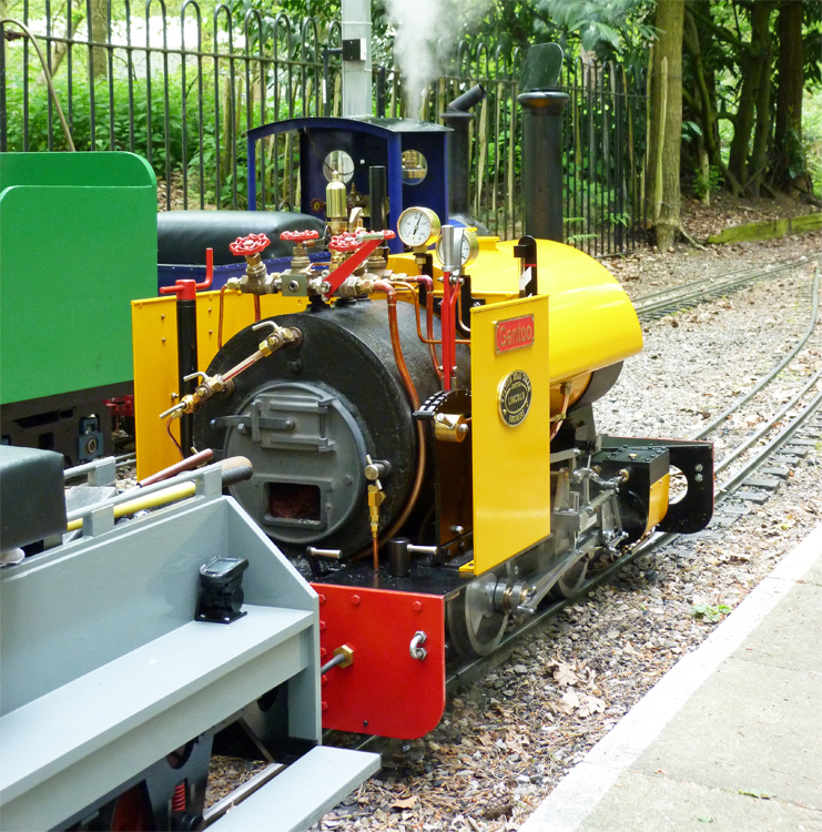 Stafford Steam Locomotive Gentoo