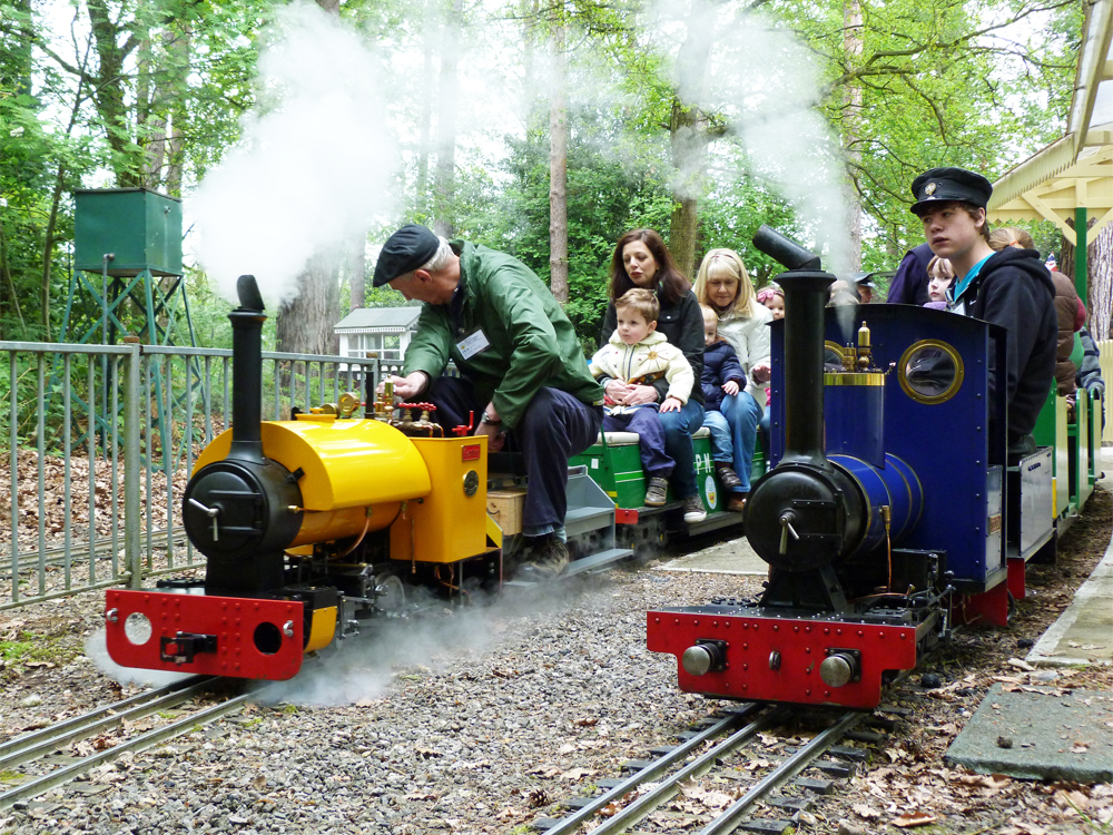 Stafford Steam Locomotive Gentoo at Pinewood Miniature Railway