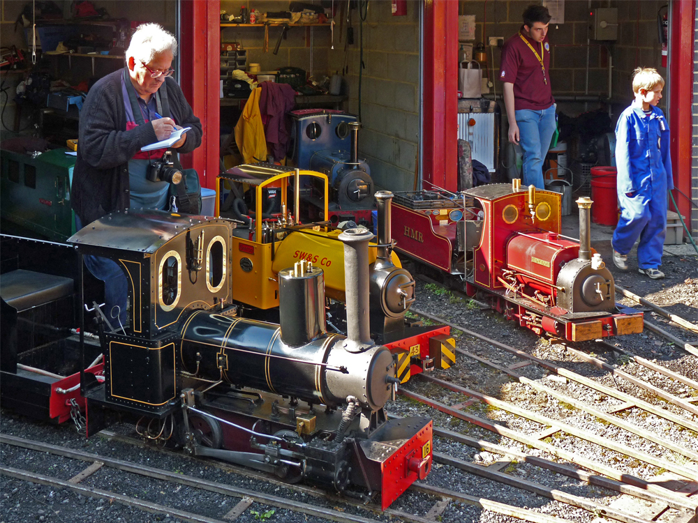 Stafford Steam Locomotive Gentoo
