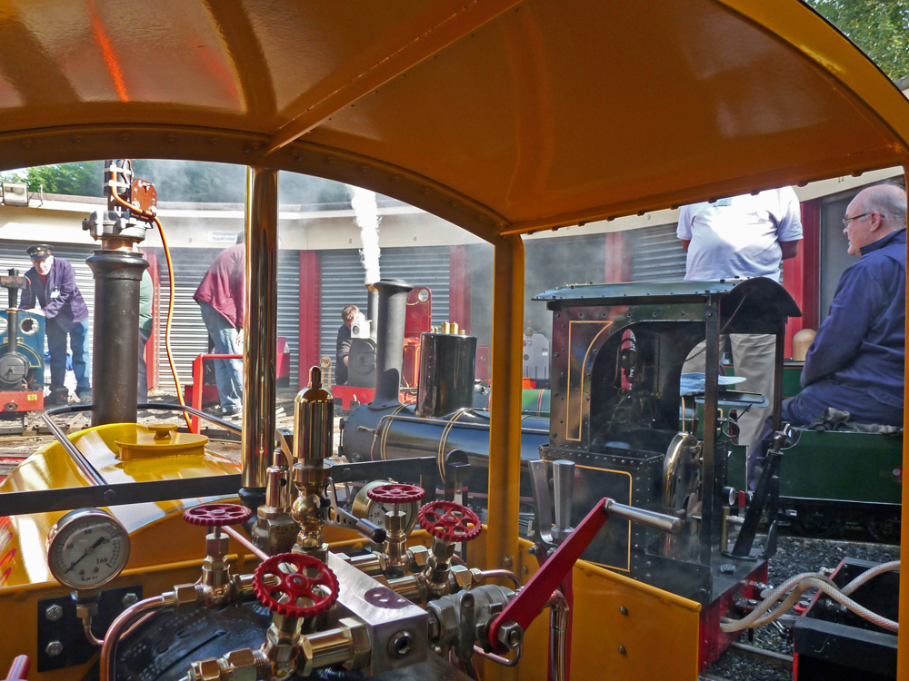 Stafford Steam Locomotive Gentoo