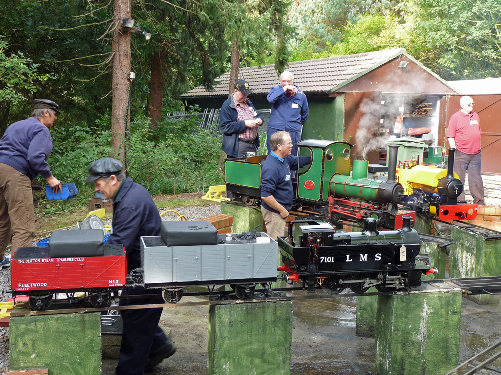 Stafford Steam Locomotive Gentoo