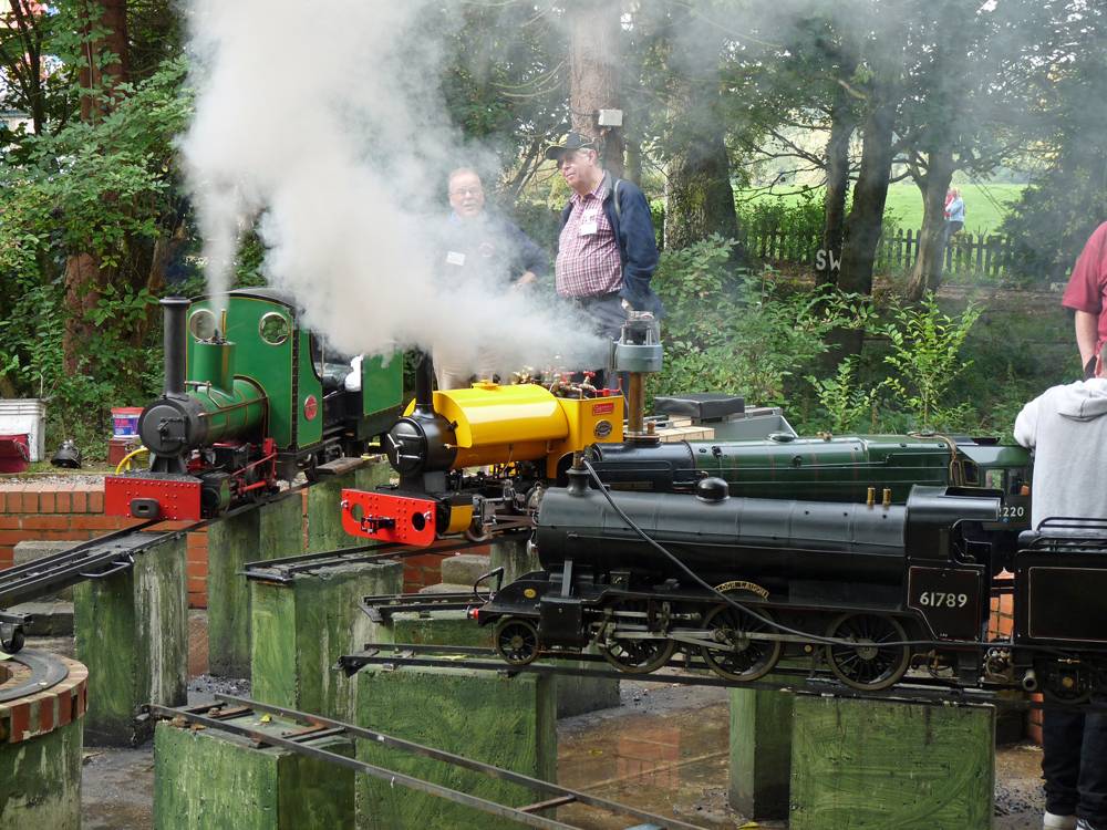 Stafford Steam Locomotive Gentoo