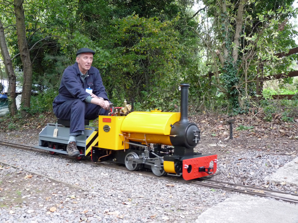 Stafford Steam Locomotive Gentoo