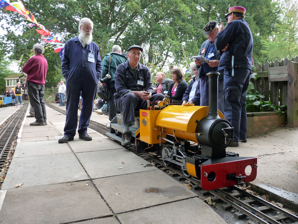 Stafford Steam Locomotive Gentoo