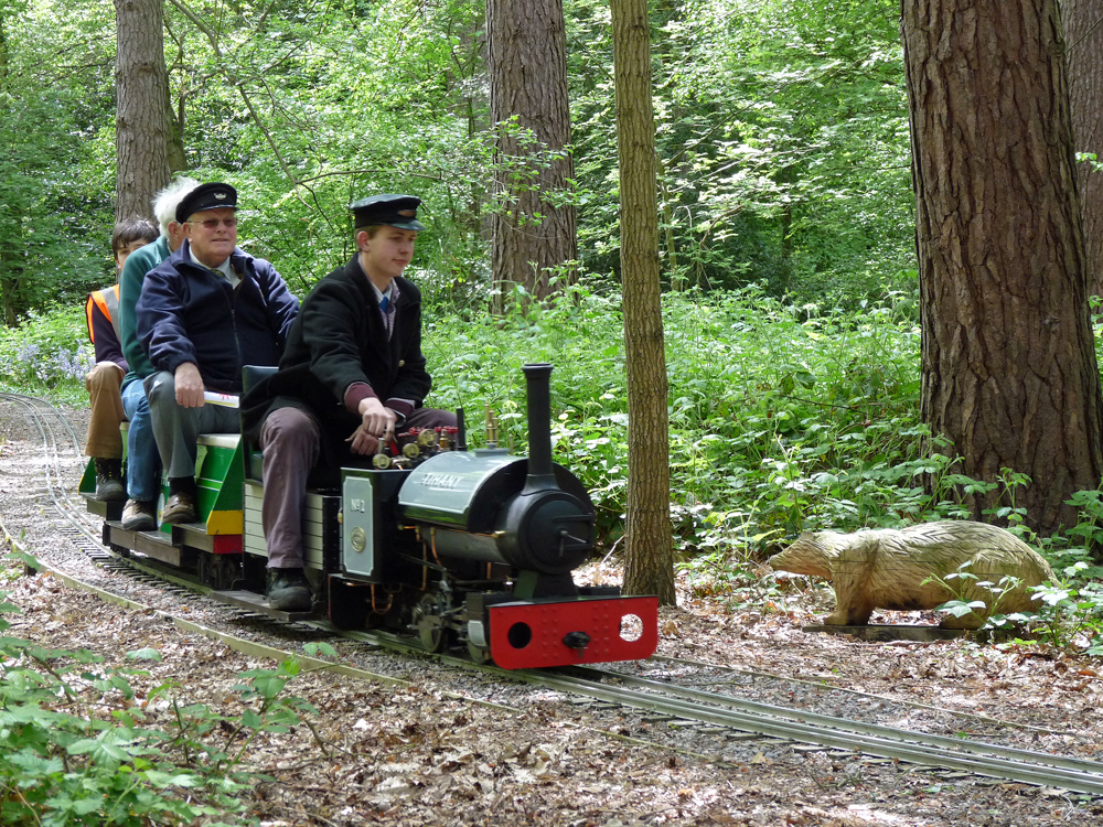 'Tihany' from Sheffield returning through the woods