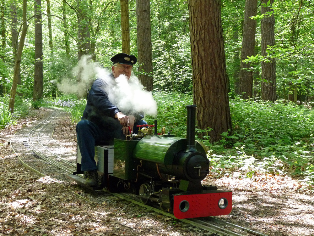 Running in the woodland at Pinewood