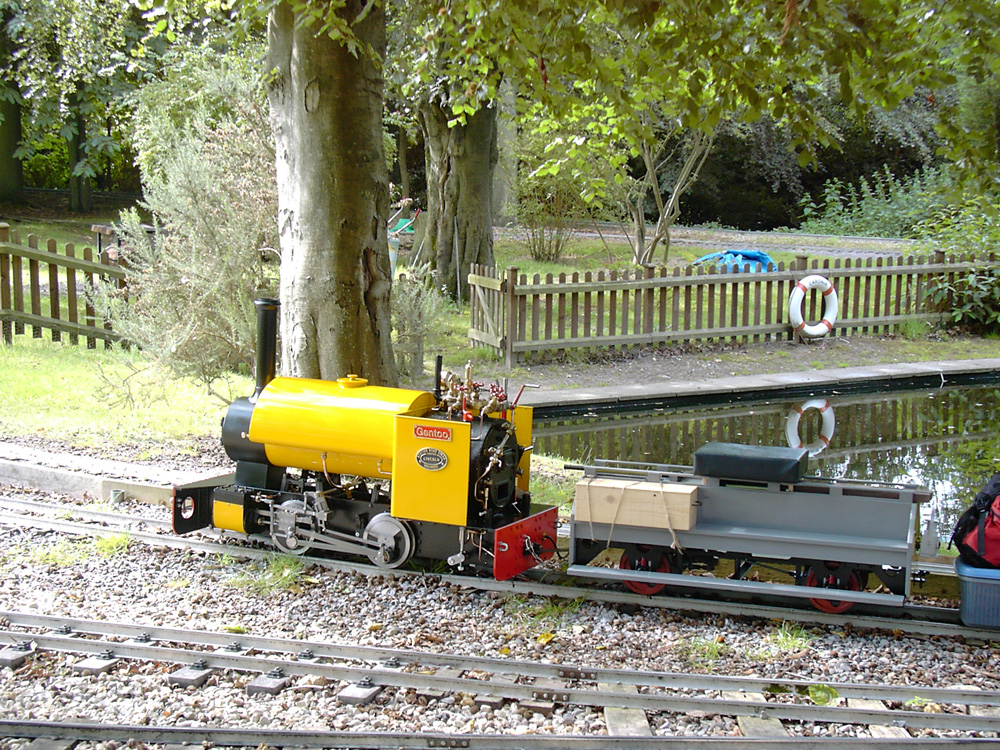 Stafford Steam Locomotive Gentoo
