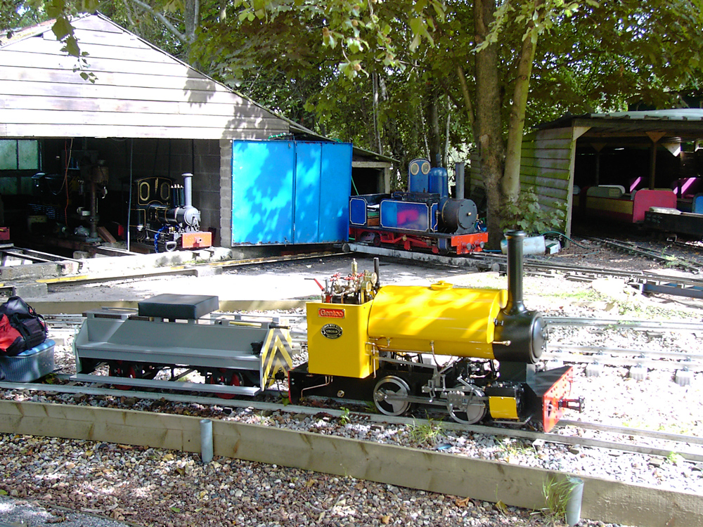 Stafford Steam Locomotive Gentoo
