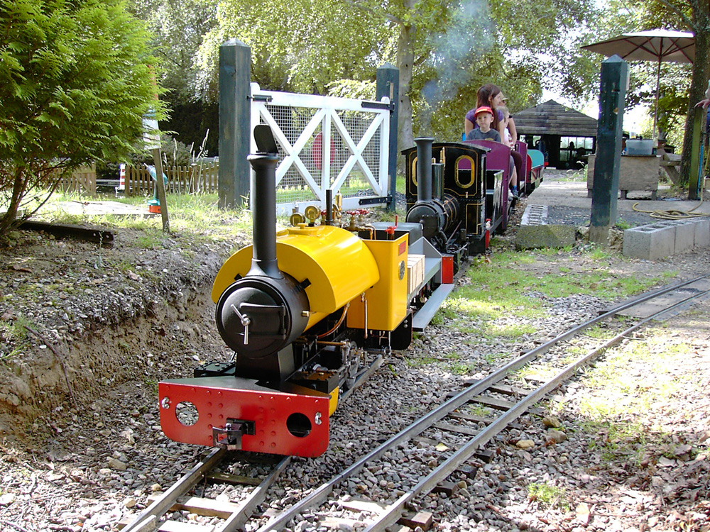 Stafford Steam Locomotive Gentoo