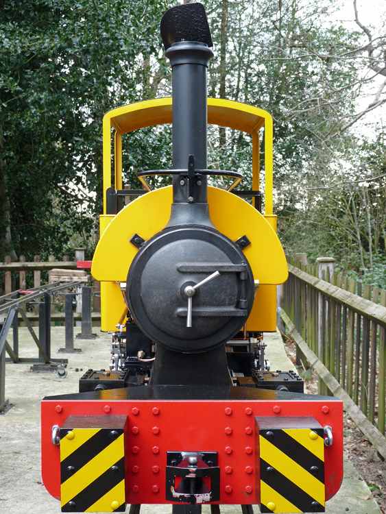Front view of the Staffird Gentoo